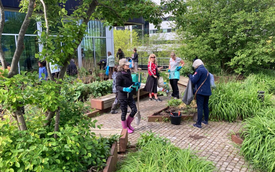 Stichting Struikroven | Struikroven Circl