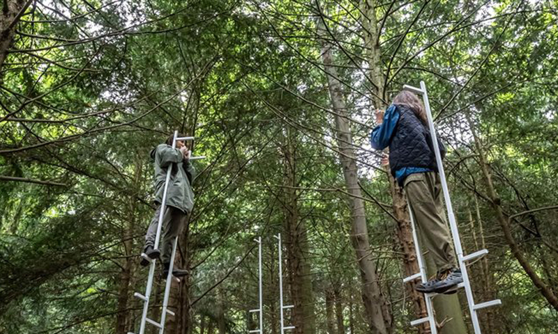 Amsterdamse Bos | Het Onzichtbare Zichtbaar