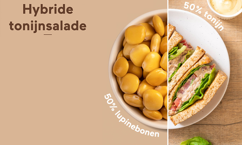 Vermaat | DUO tonijnsalade / hybride tonijnsalade