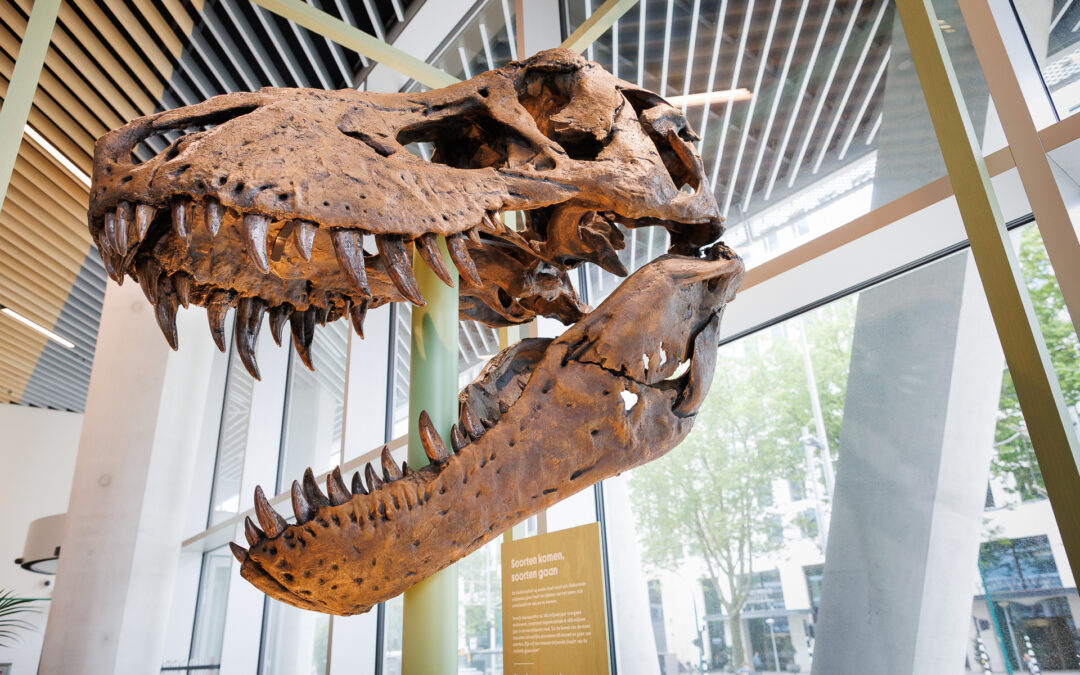 Use/space en Naturalis | Masterclasses Biodiversiteit @ The Cube