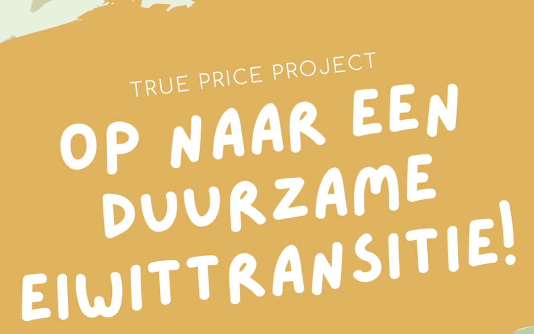 True Price pilot Zuidas