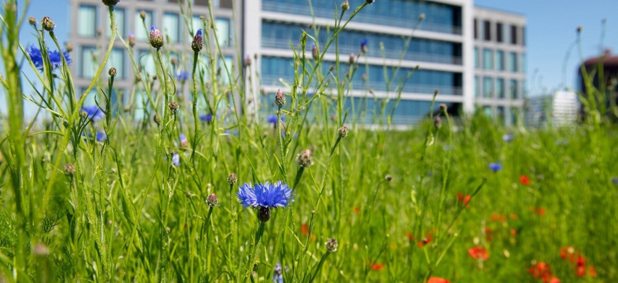 ZuidasDuurzaamheidsprijs_2023_LR-22