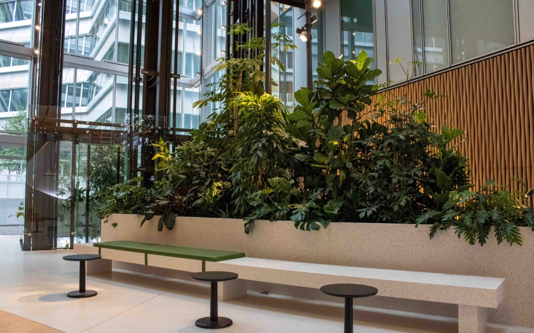 Blooming Buildings | The Rock: Inside Nature